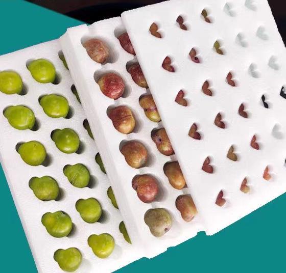 珍珠棉水果托盘